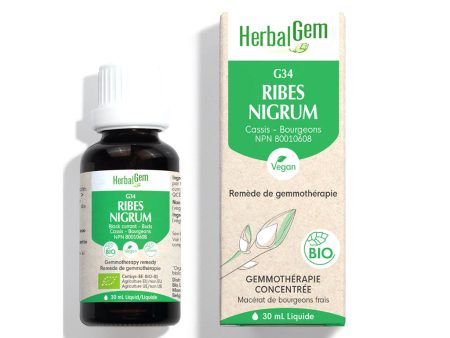 G34 Ribes Nigrum Biologique For Cheap