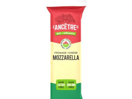 Fromage Mozzarella 28% Biologique Sans Lactose Cheap