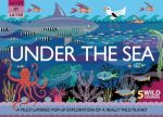 Dolphin Silver: Layer by Layer: Under the Sea [2016] hardback For Discount